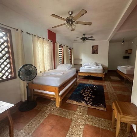Hotel Don Quichotte Tortuguero Kültér fotó