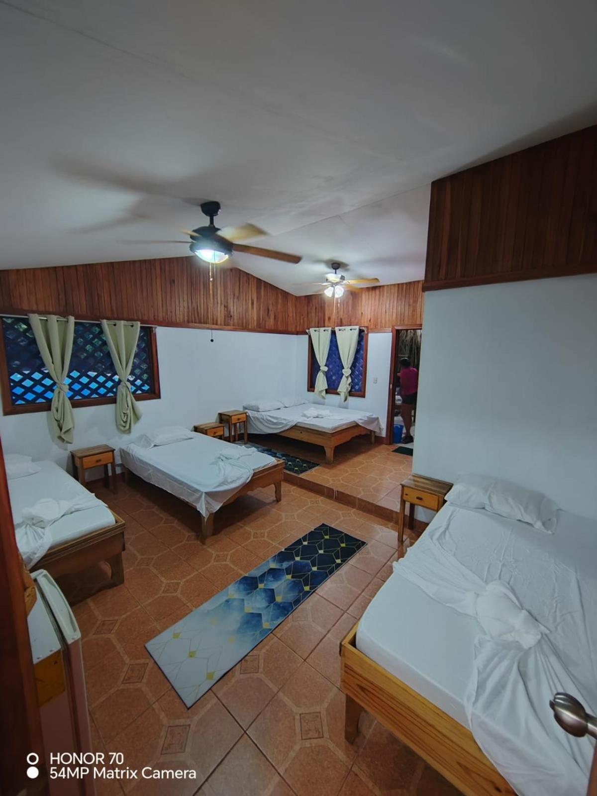 Hotel Don Quichotte Tortuguero Kültér fotó