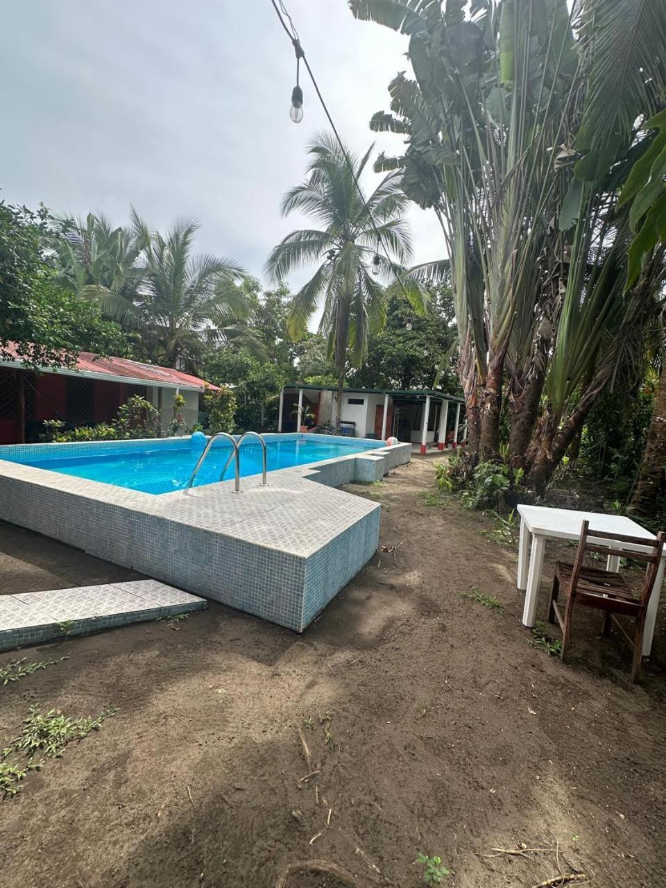 Hotel Don Quichotte Tortuguero Kültér fotó