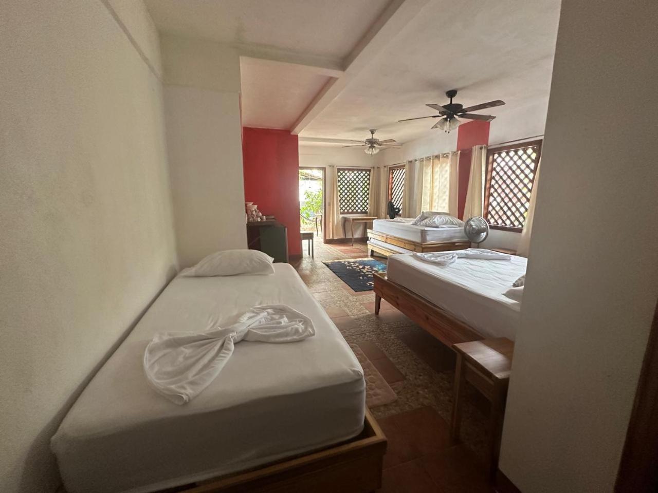 Hotel Don Quichotte Tortuguero Kültér fotó