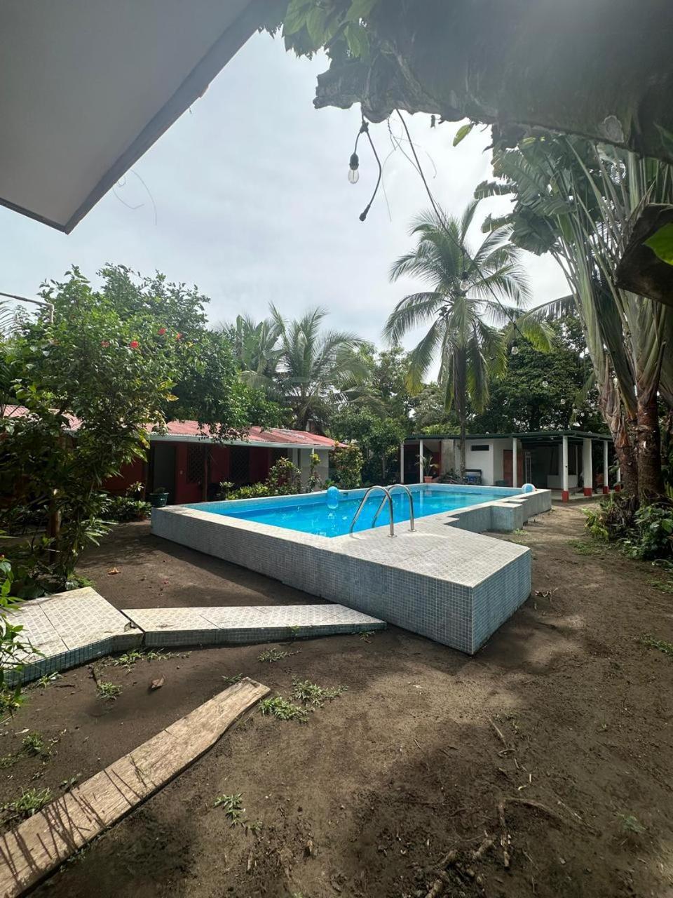 Hotel Don Quichotte Tortuguero Kültér fotó