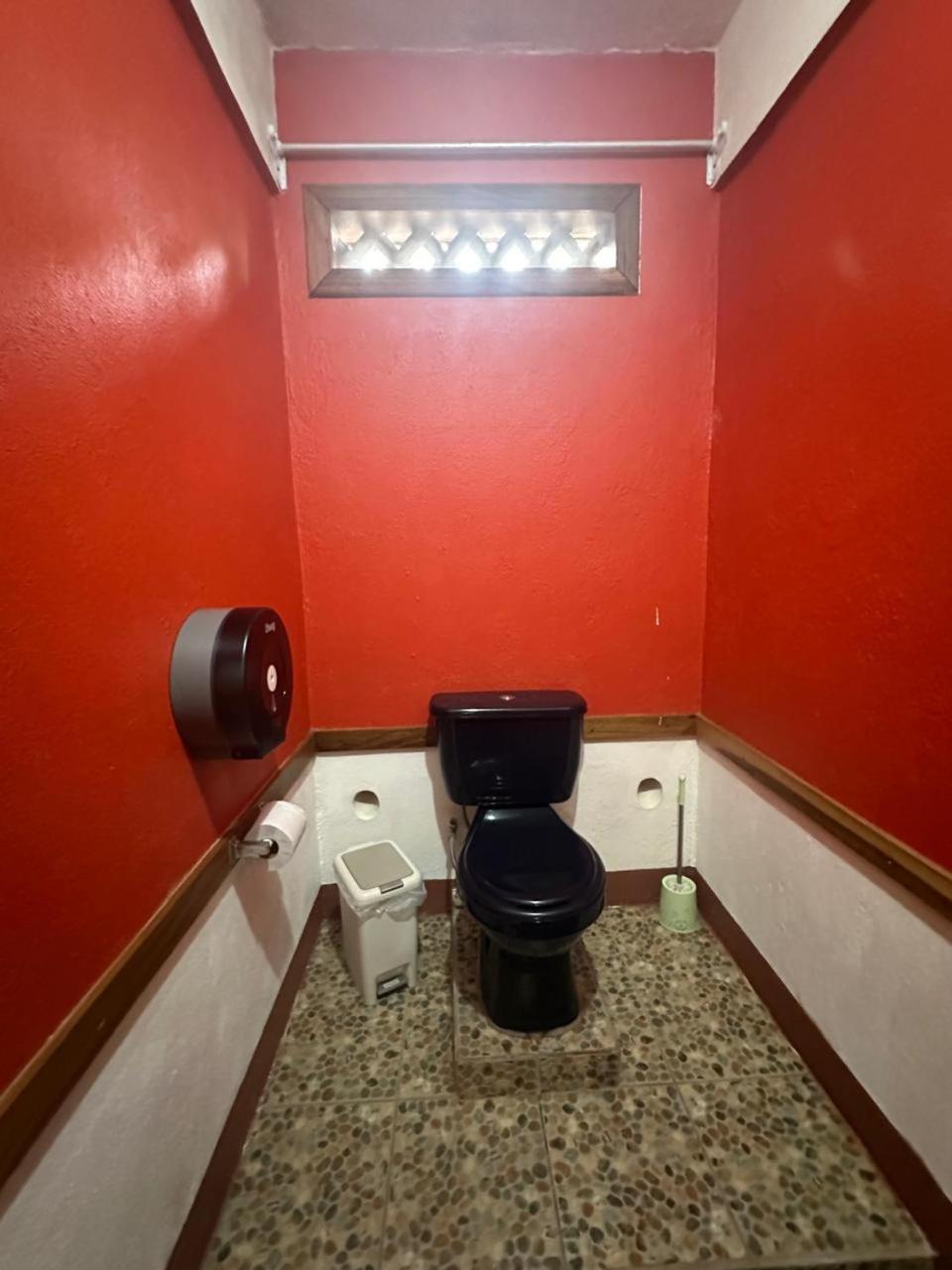 Hotel Don Quichotte Tortuguero Kültér fotó