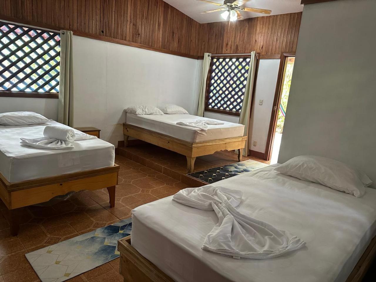 Hotel Don Quichotte Tortuguero Kültér fotó